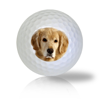 how many balls should a dog have